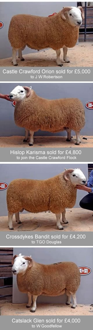 Cheviot Ram Sales 2005 2