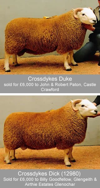 Cheviot Ram Sales 2007 2